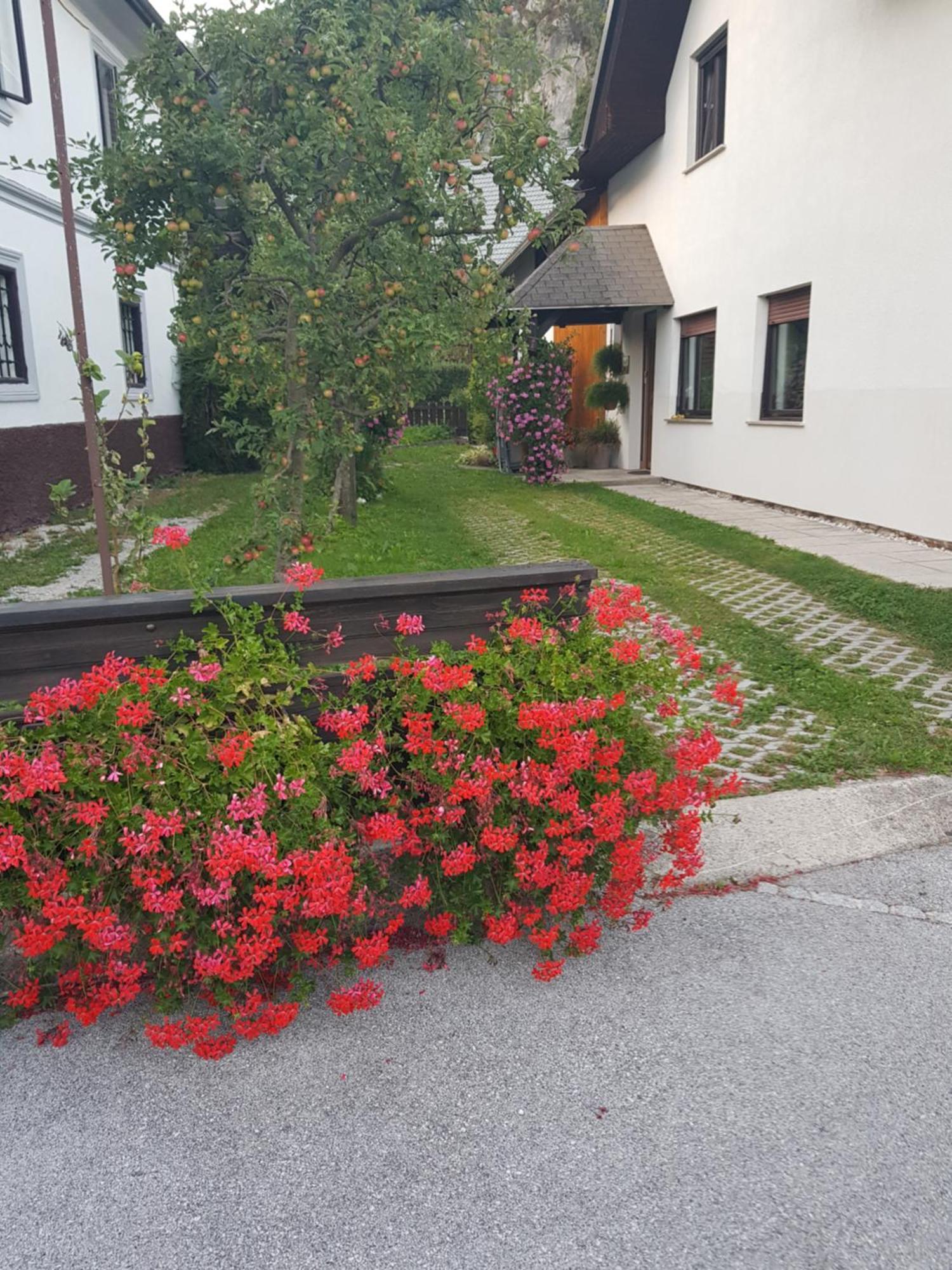 Apartments Gregorc Μπλεντ Εξωτερικό φωτογραφία